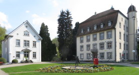 Schloss Schönau mit Hochrheinmuseum II